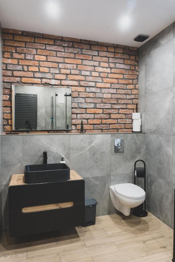 Appartement Shineapart 4 à Świeradów-Zdrój Extérieur photo